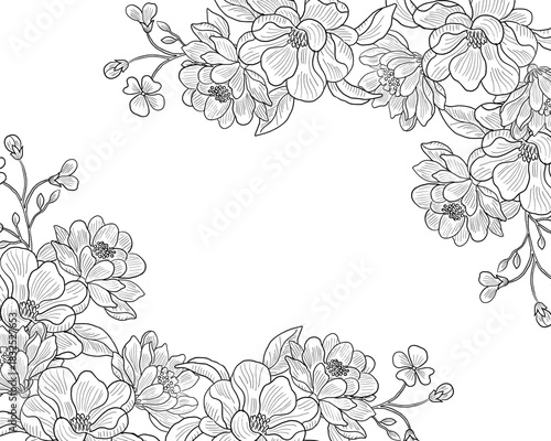 Elegant Lily and Aster Hand Drawn Flower Border