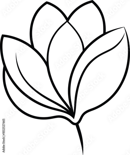 Flower petal line art vector minimal thin black outline 1