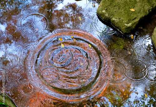 秋深いせせらぎの水面に映る紅葉