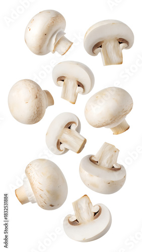 Falling champignon, mushroom, isolated on transparent background