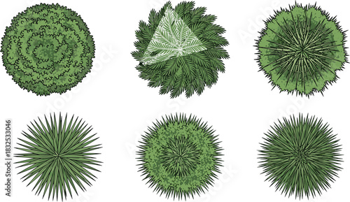 Stylized Top View Vector Illustrations of Six Unique, Detailed Circular Bushes or Palm Tree Crowns for Architectural Plan, Landscape Design, Technical Drawings, and CAD Assets