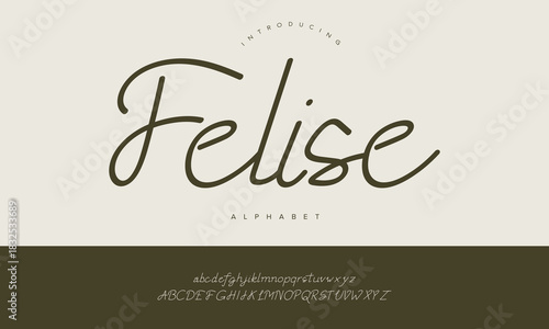 Felise Organic Handwritten Script Font Vector For Nature Branding Logo