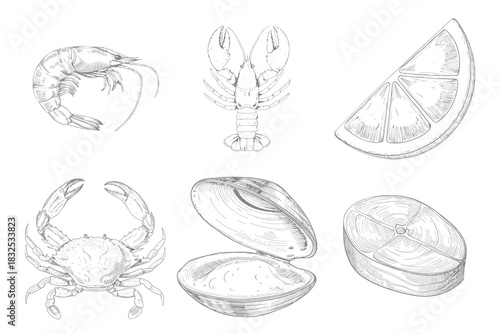 Set of sea food illustrations. Engraving Vector Sketch. Hand drawn seafood set. Chalk drawing. Japanese cuisine. Collection of vector food. Eps 10
