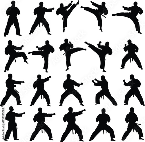 Collection of martial artist silhouettes performing various karate kicks and stances for training, combat, fitness, sports illustration and self-defense themes
