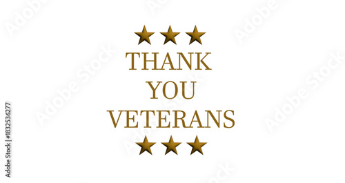 Honoring Veterans – Patriotic “Thank You Veterans” Message on Clean White Background