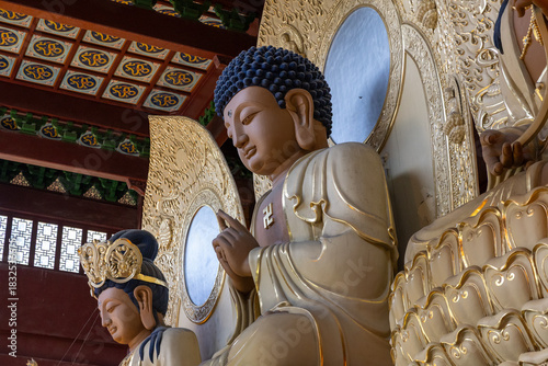 statue of buddha in china