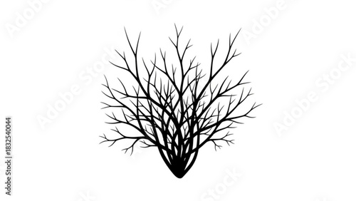 Silhouette of a bare tree with many branches against a white background