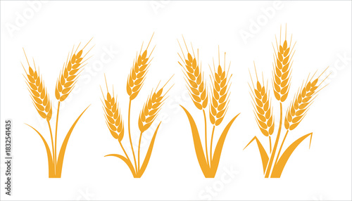 Four stylized golden wheat stalks with leaves on a white background grain agriculture