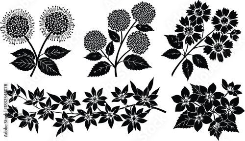 Monochrome vector art of mixed garden flowers with round globes and star blossoms arranged in two horizontal rows in bold black silhouette style