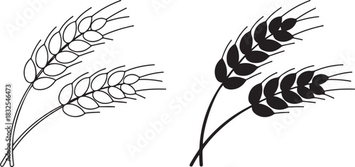 Elegant Wheat Stalk Illustrations in Contrasting Black and White Styles on Plain Background
