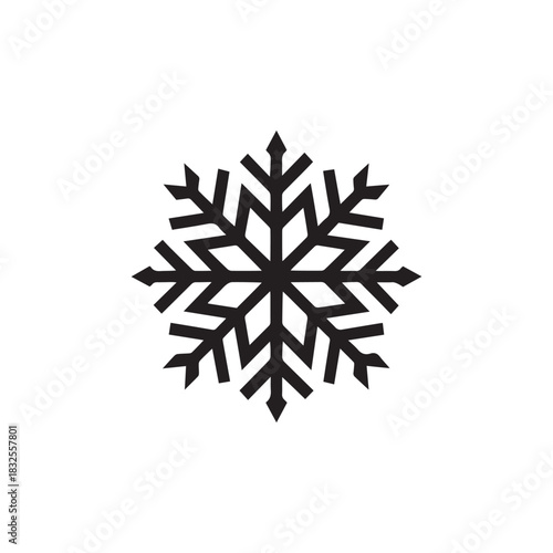 snowflake winter icon vector 