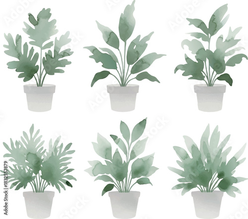  観葉植物の水彩風シンプルイラスト