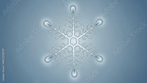 Detailed snowflake vector illustration for winter holiday season christmas and new year designs and backgrounds