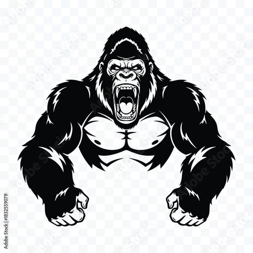Black gorilla roaring with bared teeth and clenched fists aggressive pose primate animal