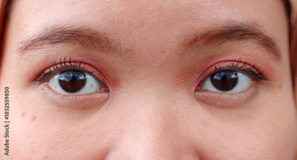 Fototapeta premium Beautiful Asian woman eyes with simple makeup. attractive pretty woman lady with good vision sight eyesight with long eyelashes natural makeup, ophthalmology