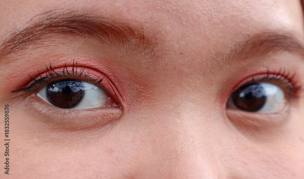 Obraz premium Beautiful Asian woman eyes with simple makeup. attractive pretty woman lady with good vision sight eyesight with long eyelashes natural makeup, ophthalmology
