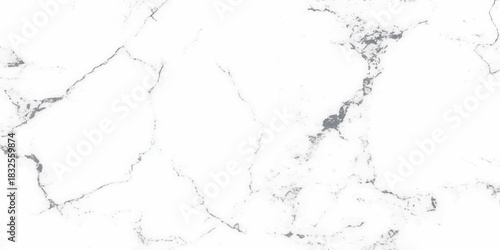 Black and white splashes texture and detailed outline of a Europe continent map vector design