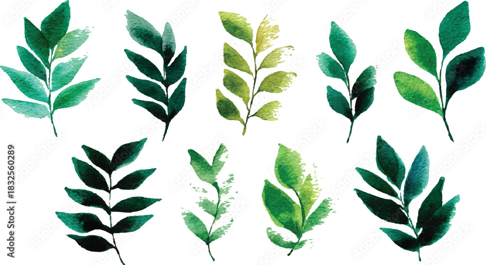 Fototapeta premium Green leaves big vector collection - Set Set of tropical green leaves isolated on white background.