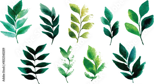 Green leaves big vector collection - Set  Set of tropical green leaves isolated on white background.
