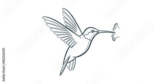 Elegant line drawing of a hummingbird in mid-flight holding a delicate flower in its beak
