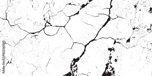 Detailed image of cracked surface texture with intricate patterns and lines.