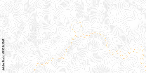 seamless pattern and topography map and counter map. abstract sea map area space geometrics line technology topo landscape grid map texture.	