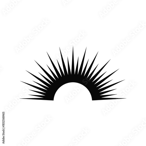 Abstract sunburst silhouette