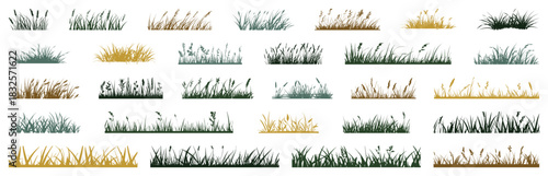 Silhouette grass with spikelet collection. Set of hand drawn beach grass. Illustration for elevation architectural element, side view, grass section. Turf coating banners for edging