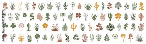 Set of silhouette plants, flowers, herbs, shrub, weed, greenery flora line drawing set in side view. Graphics trees elements outline symbol for architecture and landscape design drawing stroke fill