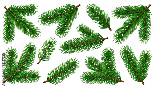 set cartoon illustration of green fir tree spruce branch