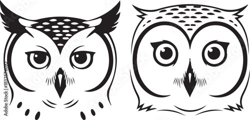 black and white owl