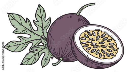 Passion fruit illustration showcasing a whole tropical fruit, a vivid cross-section revealing its juicy pulp and seeds, and a fresh green leaf. exotic healthy food vector graphic.
