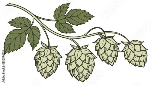 Hop plant branch illustration with green leaves and multiple ripe hop cones, essential ingredient for craft beer brewing, isolated vector graphic element for beverage packaging and design