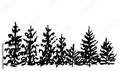 Simple vector illustration. Black silhouette of coniferous trees on a white background. Pines, firs, northern plants. Nature and vegetation.