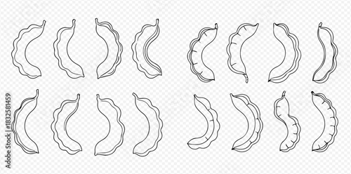 Tamarind pods in various shapes and forms, hand-drawn outline illustrations on a transparent background.