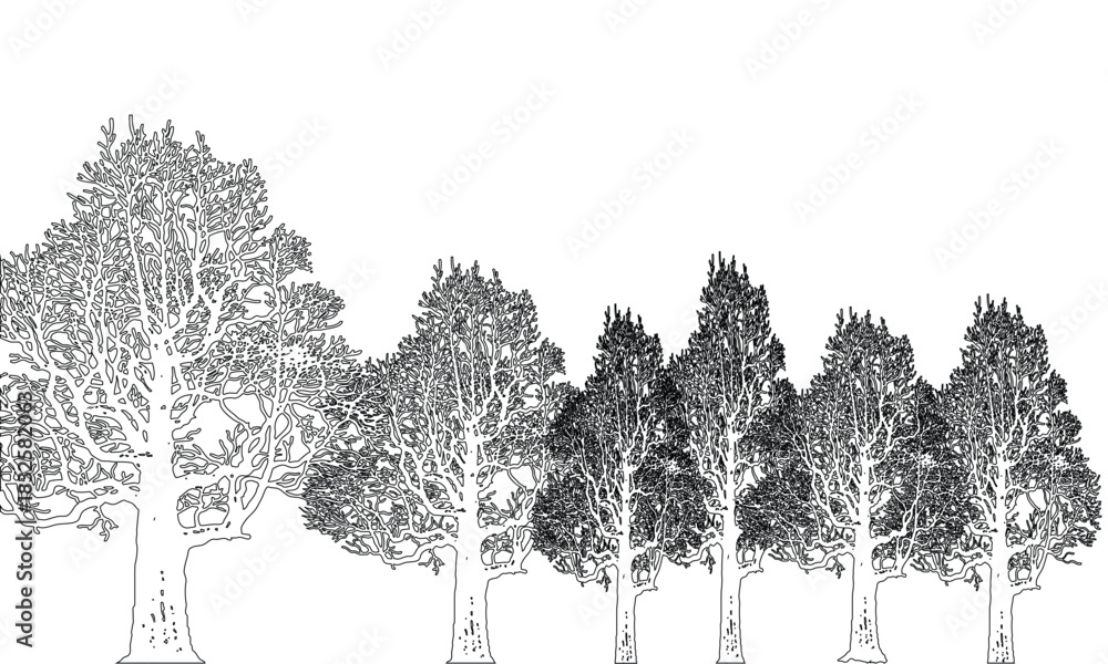 Fototapeta premium Trees silhouette isolated on white background and beautiful view