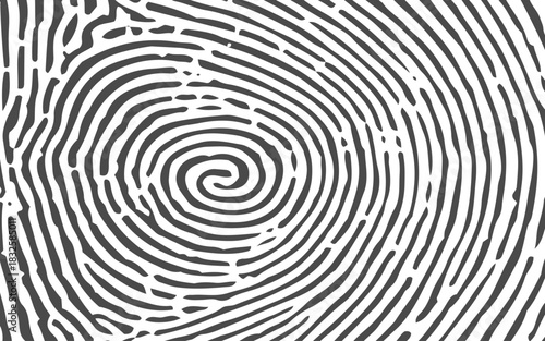 Black and White Fingerprint Texture, Isolated Print Pattern on White Background for Security, Identity, and Forensic Design.