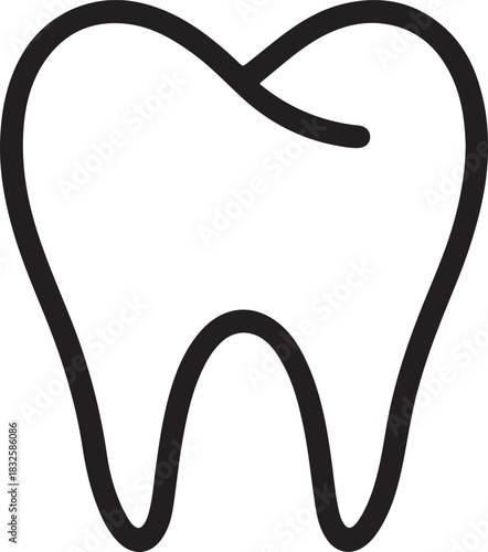 The Anatomy of a Tooth Structure Function and Dental Care Essentials