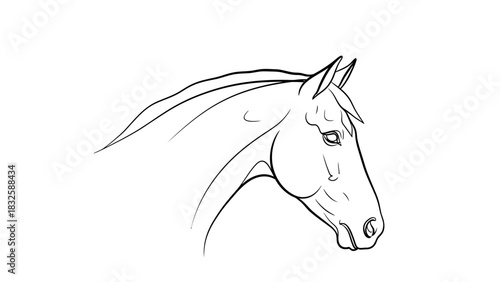 Elegant horse head outline for your creative design needs, use this detailed art