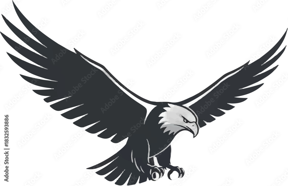 Obraz premium Adobe Illustrator Artwork