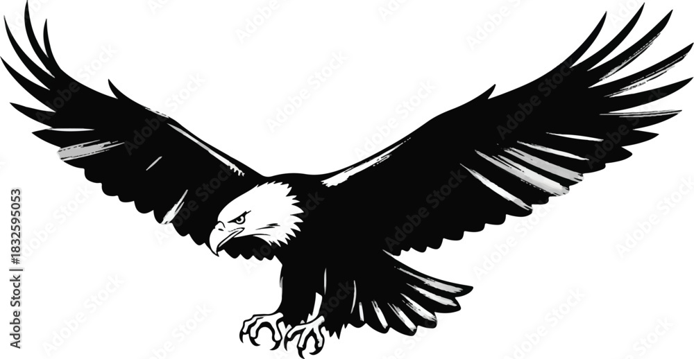 Obraz premium Adobe Illustrator Artwork