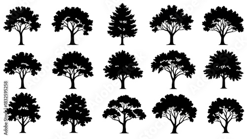 Collection of Tree Silhouettes A Versatile Set of Black and White Tree Designs for Various Projects