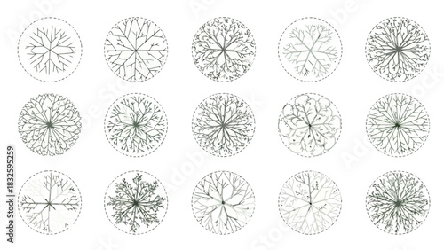 Collection of diverse abstract top-down tree plan views, showcasing various botanical patterns and organic structures in detailed line art illustrations suitable for architectural and landscape design