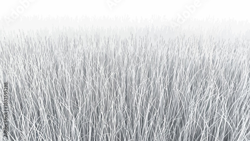 Close-up of a delicate white texture, resembling soft animal hair, fine fibers, or a frosty winter landscape, creating an elegant monochromatic background
