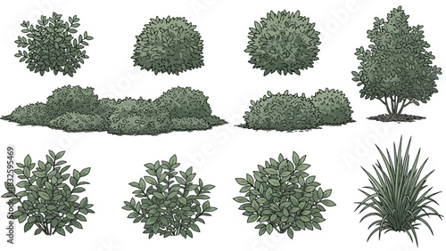 Collection of Garden Shrubs and Bushes Vector Illustrations for Landscaping and Design Projects