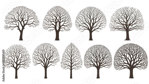 Collection of different bare trees silhouettes, perfect for autumn or winter design projects