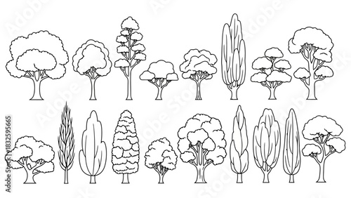 Collection of Various Trees and Foliage in Outline Style