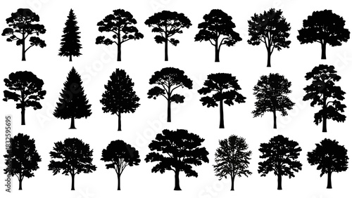 A large collection of diverse tree silhouettes in black, isolated on a white background for nature-themed graphic design