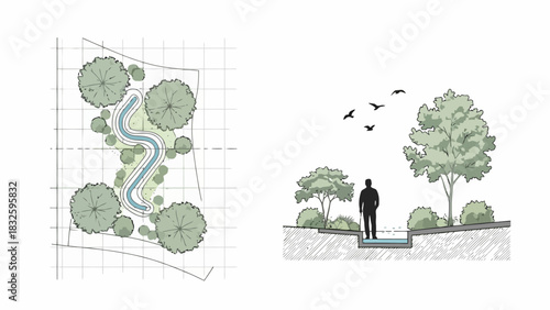 Landscape Architecture Design Plan with Water Feature and Vegetation Cross-Section
