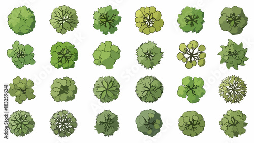Top View Collection of Lush Green Trees A Diverse Range of Arboretum Design Elements